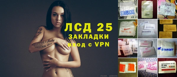 стафф Волоколамск