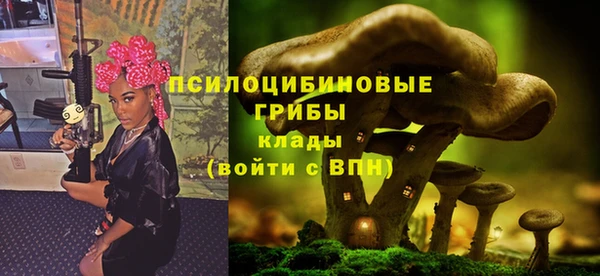 стафф Волоколамск
