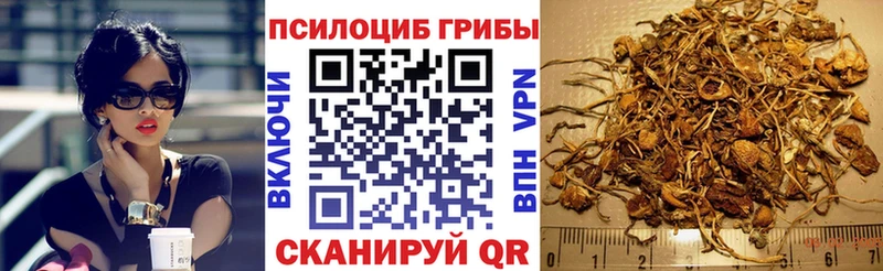 Купить закладки  Сухой Лог  Галлюциногенные грибы Cubensis 
